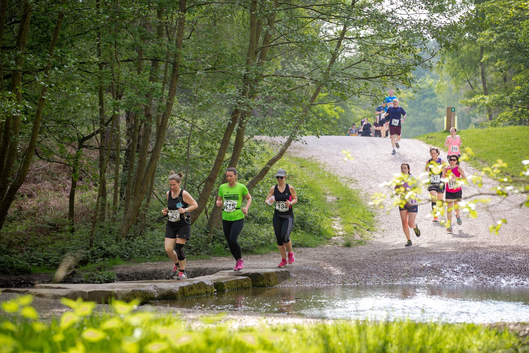 Porsche Wolverhampton Cannock Chase Forest HM & 10k