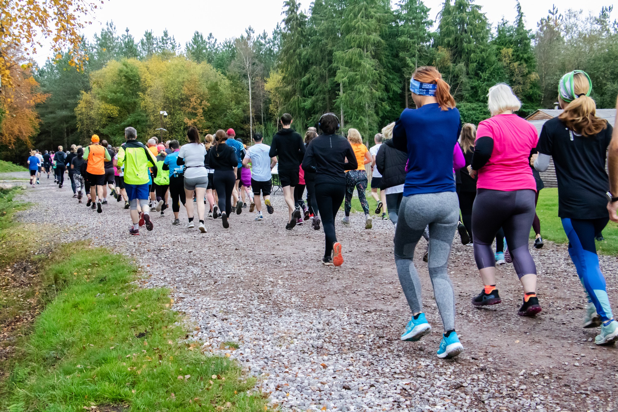 Bolt Round the Holt